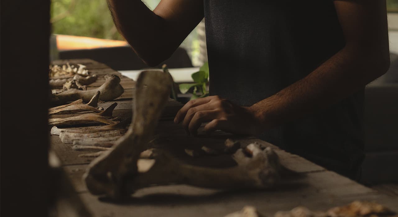 What is the difference between paleontology and archaeology?