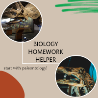 Studybay - Get Biology Assignment Help